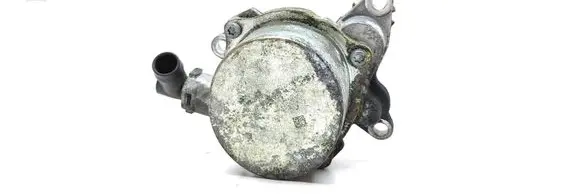 Renault Trafic III (X82) Vacuum pump
