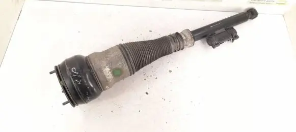 Mercedes-Benz S W222 Rear shock absorber/damper 2223200313 A2223200313
