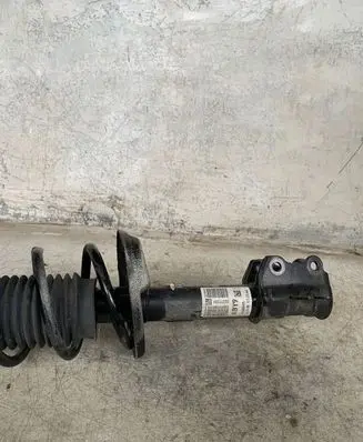 Opel Adam Front shock absorber with coil spring 22277289