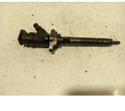 Citroen C4 I Fuel injector 0445110311