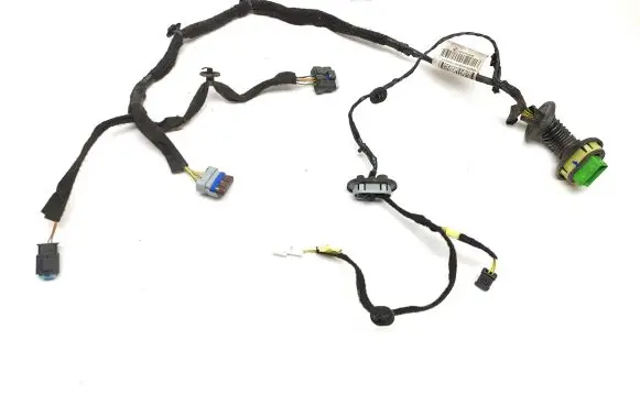 Rear door wiring loom