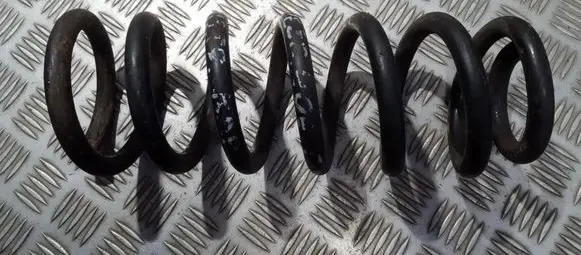 Peugeot 406 Rear coil spring