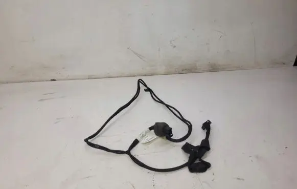 Audi A5 8T 8F Other wiring loom 8F002795