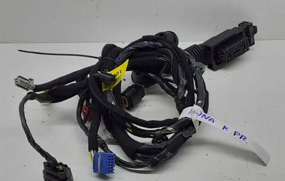 Hyundai Kona I Front door wiring loom 91610J9010