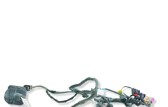 Seat Altea XL Front door wiring loom 5P1971120P
