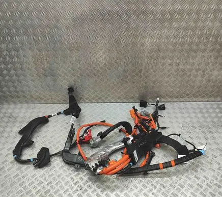 Ford Kuga III Other wiring loom SV4T14300 PZ1814B322JD