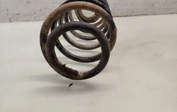 Smart ForFour I Rear coil spring