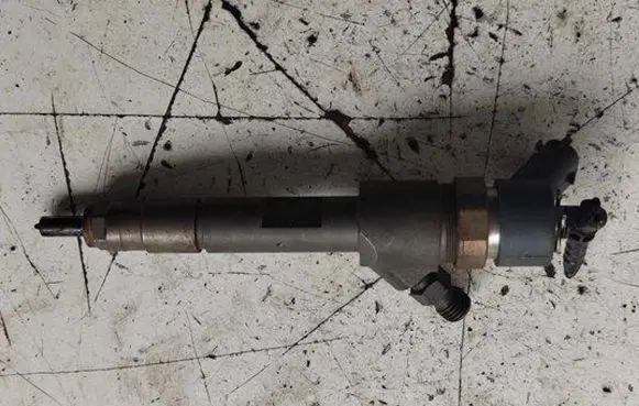 Suzuki Grand Vitara II Fuel injector 0445110230