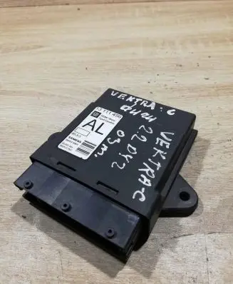 Opel Vectra C Door control unit/module 13111456 5wk46001