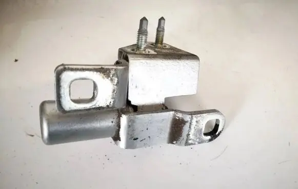 Rear door lower hinge