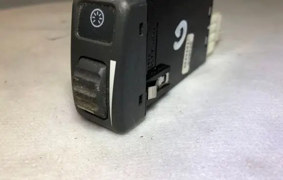 Panel lighting control switch