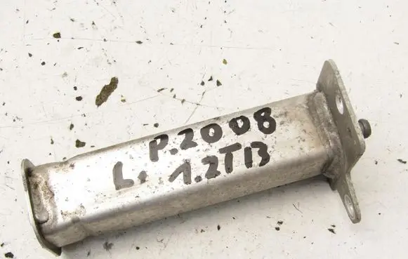 Peugeot 2008 II Front bumper shock/impact absorber 9822485380