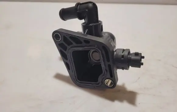 Thermostat/thermostat housing