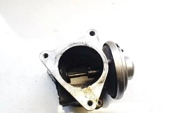 Skoda Octavia Mk2 (1Z) EGR valve 038131501an 326710007