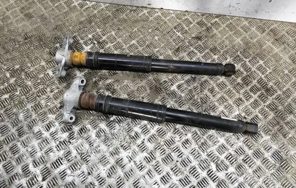 Opel Grandland X Rear shock absorber/damper 9864454780
