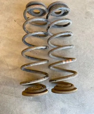Rear coil spring
