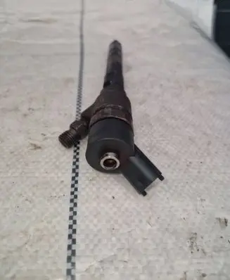Hyundai Santa Fe Fuel injector 0445110254