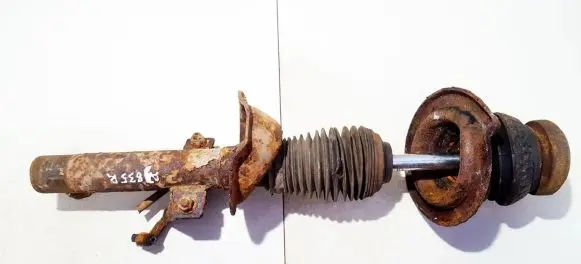 Front shock absorber/damper