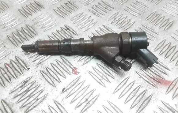 Citroen Xsara Fuel injector 9641742880 0445110076