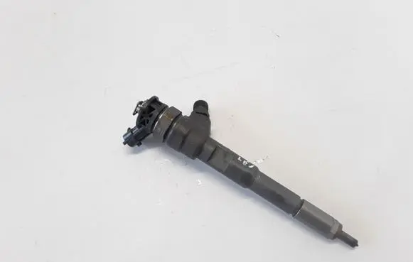 Dacia Dokker Fuel injector 8201108033