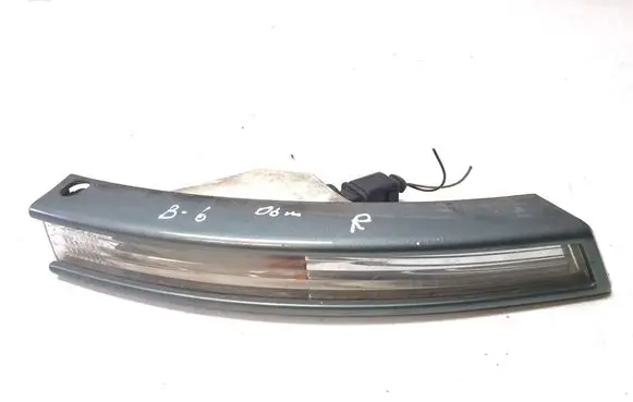 Volkswagen PASSAT B6 Front indicator light 3C0807718A
