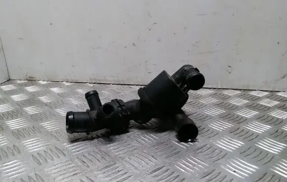 Thermostat/thermostat housing