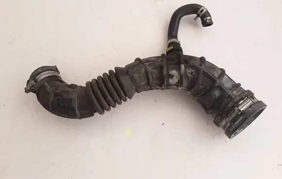 Renault Clio III Coolant pipe/hose 8200500383