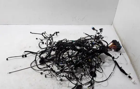 Dacia Sandero III Other wiring loom 240101229R