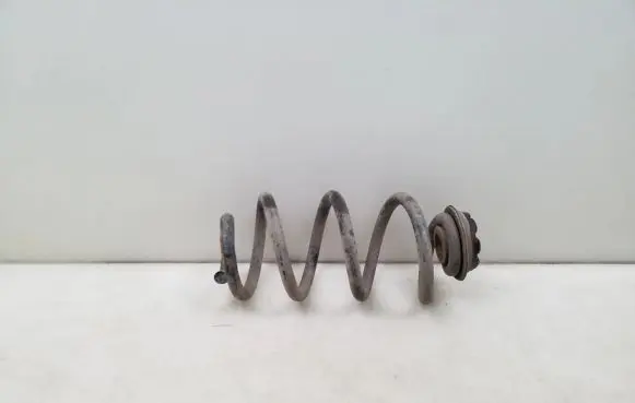 Nissan X-Trail T31 Rear coil spring