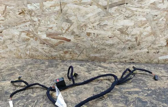 Alfa Romeo Giulia Rear door wiring loom 00505460200