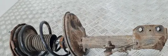 Toyota RAV 4 (XA20) Front shock absorber/damper