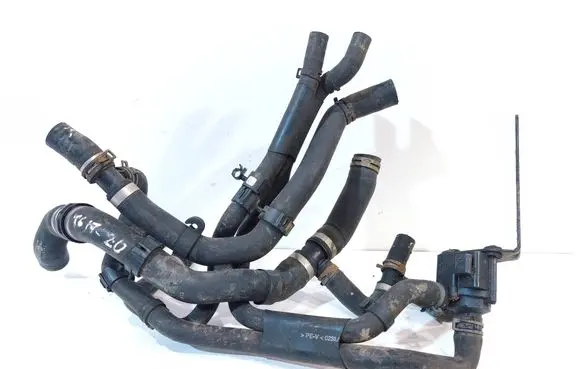 Volkswagen Transporter - Caravelle T6 Engine coolant pipe/hose 7E0122101H