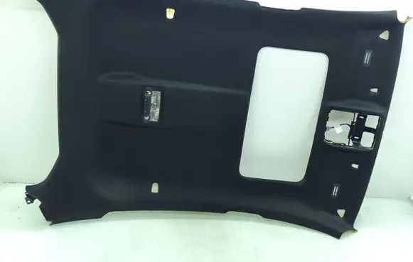 BMW X6 E71 Headlining 72394321 6207106 9239487