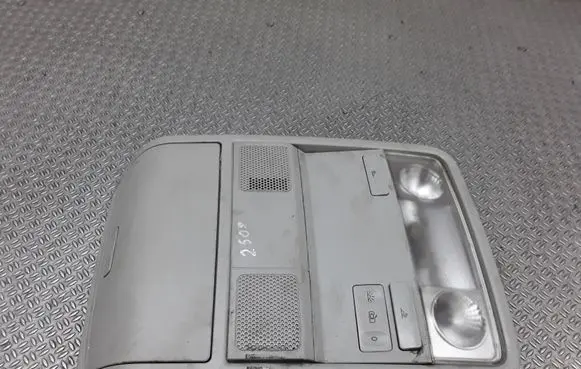 Volkswagen PASSAT B6 Front seat light 1K0868837