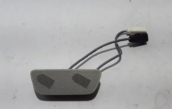 Front door high frequency speaker
