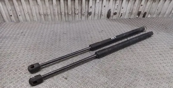 Suzuki SX4 Tailgate/trunk strut/damper