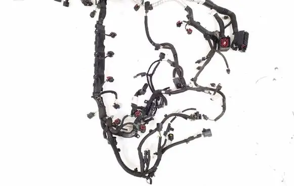 Engine installation wiring loom