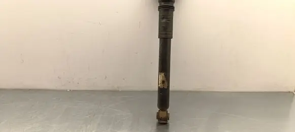 Citroen C4 III e-C4 Rear shock absorber/damper 0081037H01