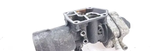 Volkswagen Golf VI Engine oil radiator 028117021L