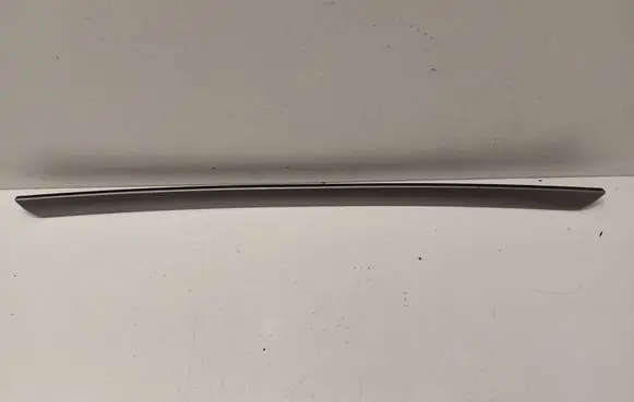 Volkswagen Golf V Rear door trim (molding) 1K4867450