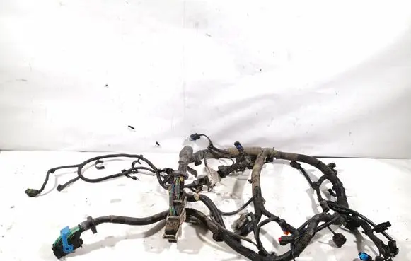 Ford Focus Engine installation wiring loom