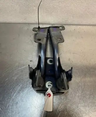 Renault Megane E-Tech Engine bonnet/hood hinges
