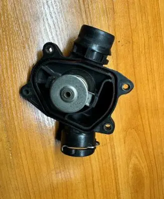 Thermostat/thermostat housing