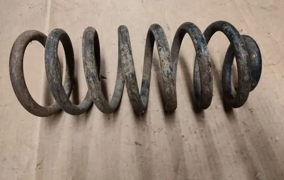 Rear coil spring