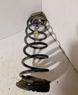 Rear coil spring