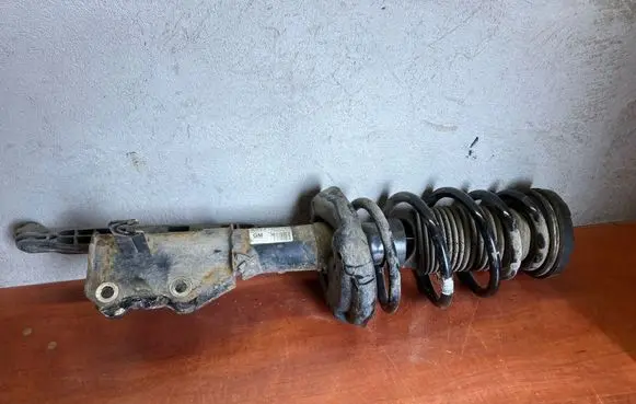 Opel Insignia A Front shock absorber/damper 22951830 E4644501 367327926