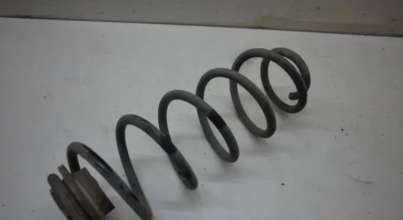 Rear coil spring