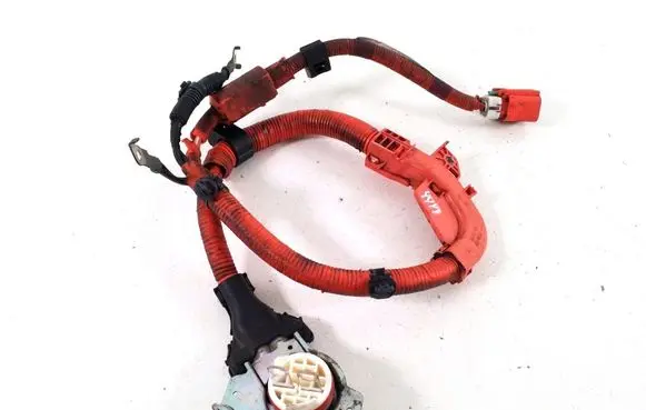 Lexus CT 200H Other wiring loom 8212276010