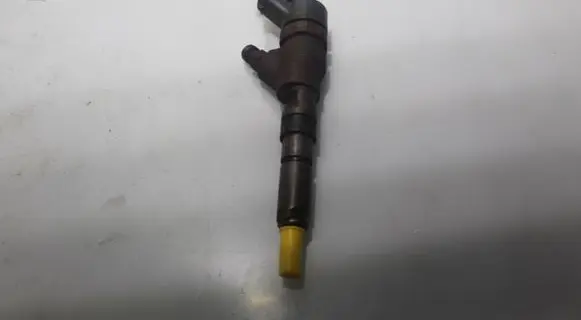 Peugeot Partner Fuel injector 0445110062
