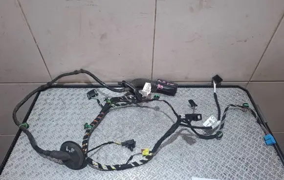 Volkswagen PASSAT B8 Front door wiring loom/harness boot 3G1971120DK